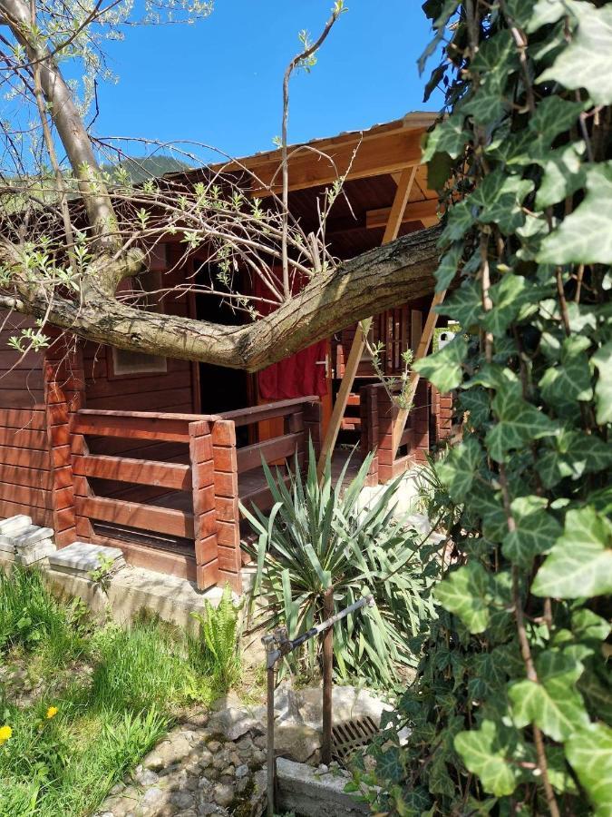 Casa Jan B. Otel Lorau Dış mekan fotoğraf