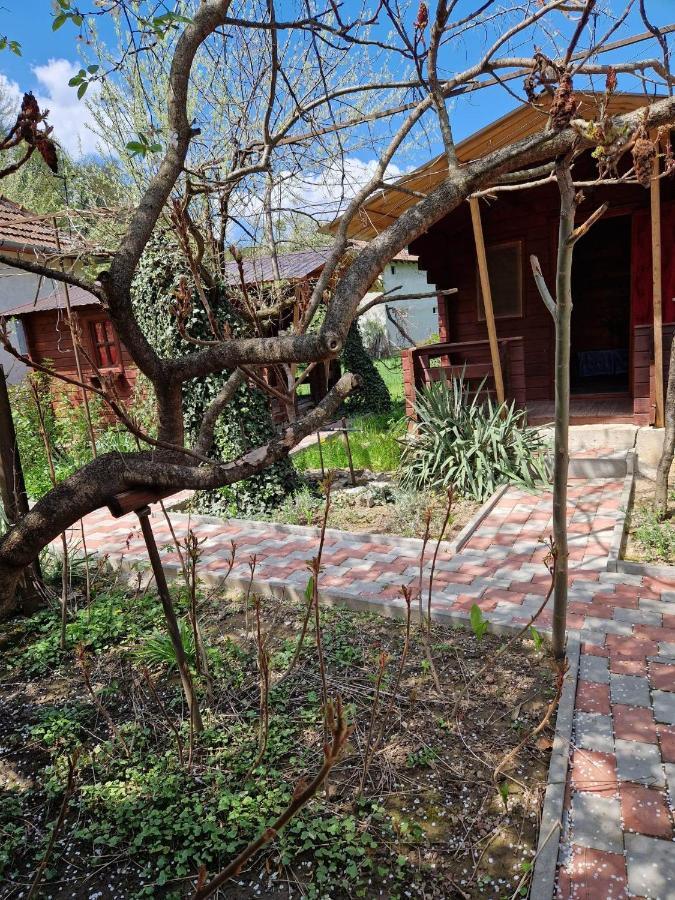 Casa Jan B. Otel Lorau Dış mekan fotoğraf