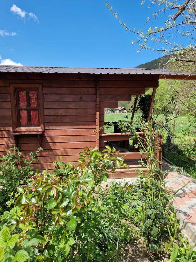 Casa Jan B. Otel Lorau Dış mekan fotoğraf