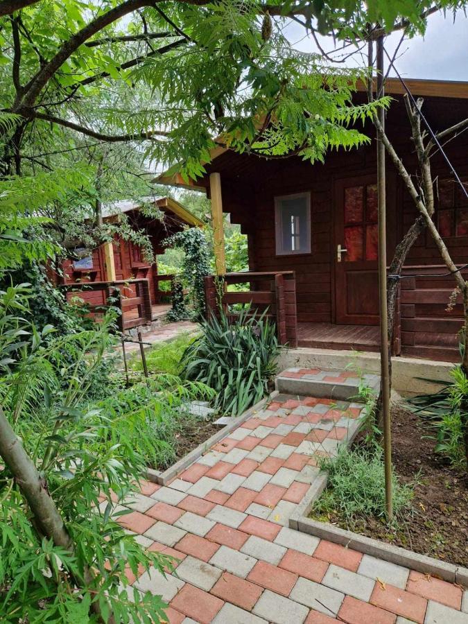 Casa Jan B. Otel Lorau Dış mekan fotoğraf