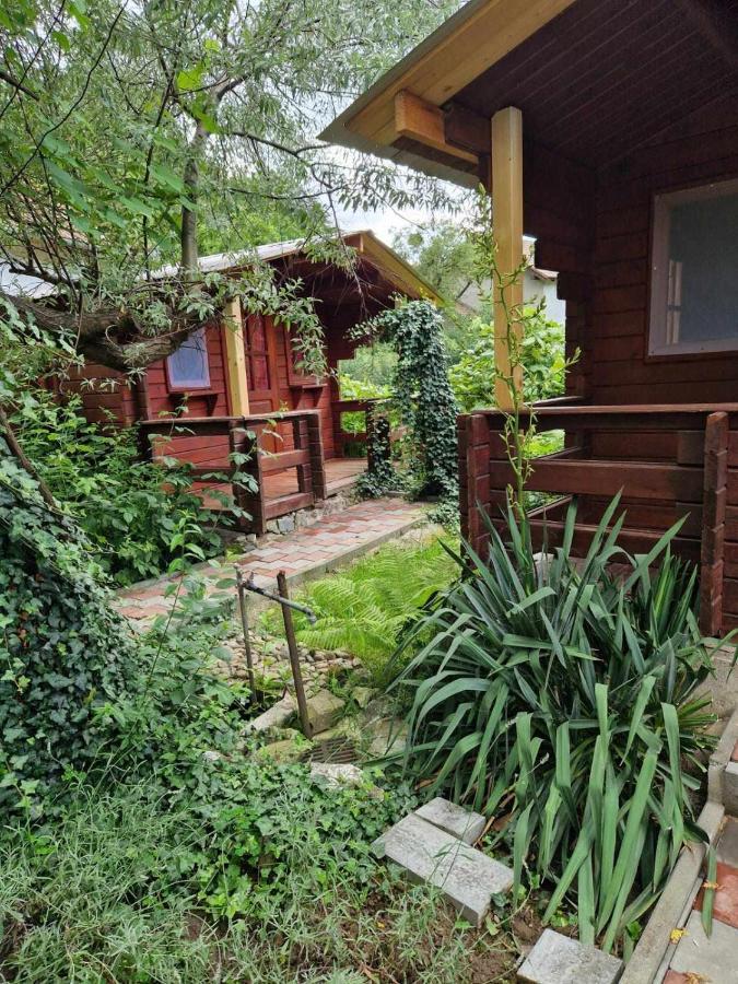 Casa Jan B. Otel Lorau Dış mekan fotoğraf