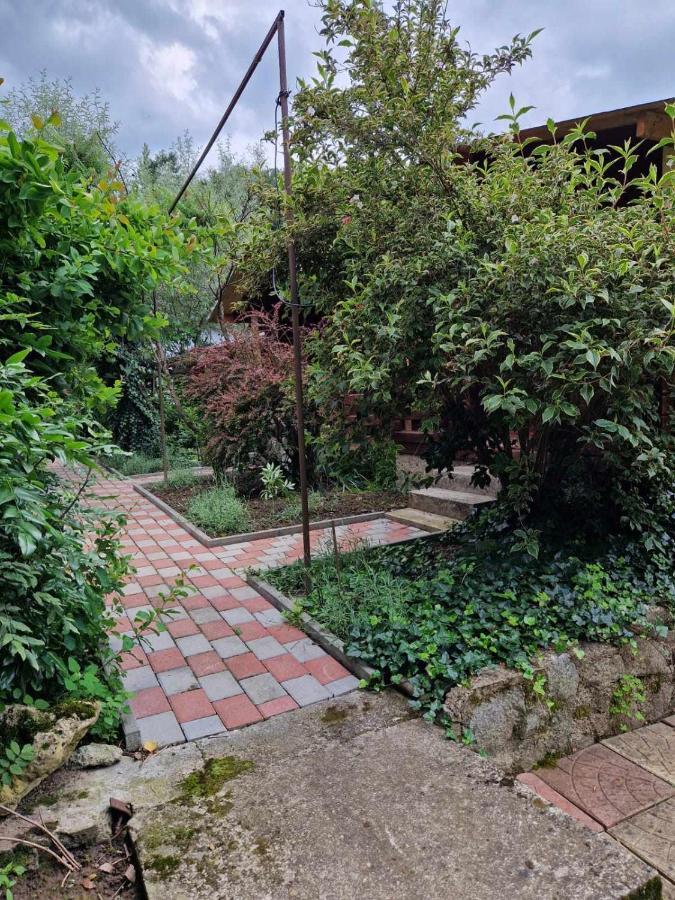 Casa Jan B. Otel Lorau Dış mekan fotoğraf